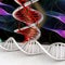 DNA structure model Background