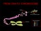 From DNA to chromosome. genome sequence. Telo mere is a repeating sequence of double-stranded DNA located at the ends of chromosom