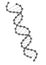 DNA vector