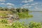 Dniester Estuary in Shabo, Ukraine