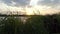 The Dnipro riverbank covered with green bulrush, cane, reed, at sunset