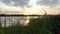 The Dnipro Riverbank Covered With Green Wetland, Cane, Reed, at Sunset