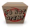 Do Not Open Cardboard Box Special Secret Private Confidential Co