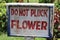 Do not Pluck Flower Board in Park