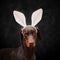 Doberman with bunny ears