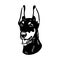 Doberman, dog, black and white vector illustration. Portrait. The head of a domestic animal. Tattoo. Clipart, laser