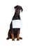 Doberman dog with blank sign