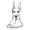 Doberman dog head