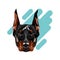 Doberman dog. Triangle vector