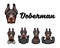 Doberman with gestures. Middle finger, Bone, Muscules, Rock. Vector illustration.