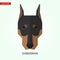 Doberman head vector illustration.