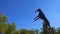 Doberman jumping to the ball against blue sky