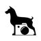 doberman pincer dog with negative space camera photography vector icon