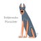 Doberman Pinscher . Cute dog cartoon characters . Flat shape and line stroke design .