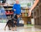 Doberman pinscher dog on leash sitting on the floor in pet store