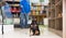 Doberman pinscher dog on leash sitting on the floor in pet store