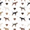 Doberman pinscher dogs seamless pattern. Different poses, coat colors set