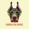 Doberman Pinscher Face in a geek glasses. Smart vector illustration isolated