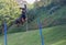 Doberman pinscher jumping