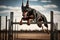 doberman pinscher jumping over obstacle course