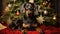 Doberman portrait on the background of a Christmas tree. Merry Christmas and Happy New Year concept