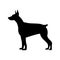 Doberman silhouette black. Dog vector illustration