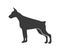 Doberman silhouette. pedigree shorthaired beast running dog, vector icon