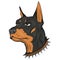 Doberman. Vector illustration of purebred pet. Dog\\\'s head with spiked collar