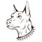 Doberman. Vector illustration sketch of purebred pet. Dog\\\'s head with spiked collar