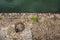 Dock anchor ring on canal bank - abstract background