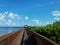 Dock key largo florida mangrove trees