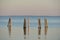 Dock pilings on Penobscot Bay inside the Rockland Breakwater and