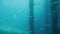 Dock underside post submerged in blue ocean full of corals and tropical fishes.