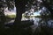 Docked boat under a tree in the shade by a river in the italian countryside