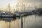 Docked sailboats at sunset