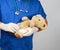 doctor in blue uniform bandages white medical bandage paw brown teddy bear