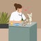 Doctor cat veterinarian nurse examining