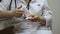 Doctor checks paper with electrocardiogram in medical cabinet