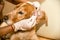 The doctor cleans his ears with a spaniel of golden color