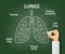 Doctor draws with chalk the anatomy of human lungs