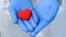 Doctor hands holding heart, donation and implantation, medic saving life