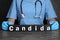 Doctor holding black cubes with word Candida at grey table, closeup