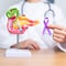 Doctor holding Purple ribbon with human Pancreas model for support Pancreatic cancer November awareness month, Pancreatitis,