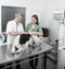 Doctor And Nurse Examining Border Collie On Table