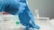 Doctor puts on blue latex gloves. Scientist worker puts on gloves on background of laboratory table. Protection from