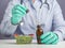 Doctor or Scientist hand holding of cannabis extraction oil bottle and marijuana leaves in a mini basket.