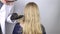 A doctor trichologist conducts a study of the hair of a blonde. Alopecia treatment. Hair loss, alopecia, itching, burning in the