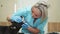 Doctor veterinarian examines the jaws of a dog in a clinic.