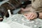 Doctor veterinarian makes ultrasound and cardiogram of the dog`s heart in the office. The hand of a male doctor on an ultrasound