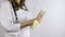 Doctor woman in robe with stethoscope tool take off rubber glove